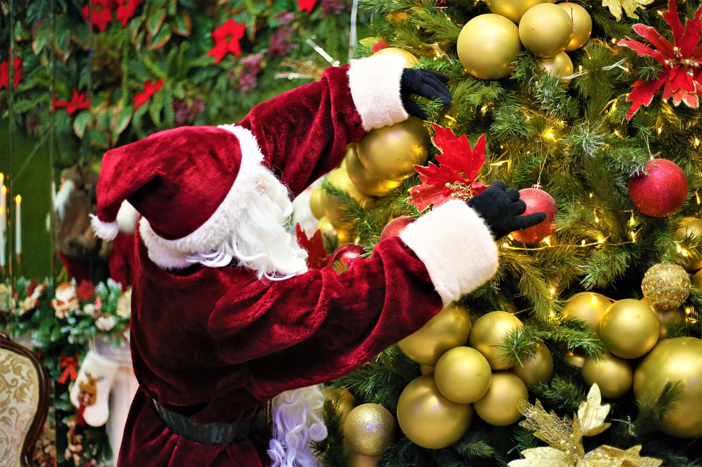 უმპა-ლუმპა • Oompa-Loompa